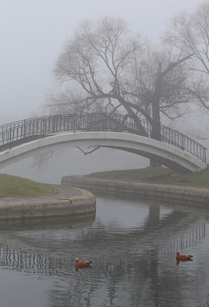 Фотография автора Александр Кожевников