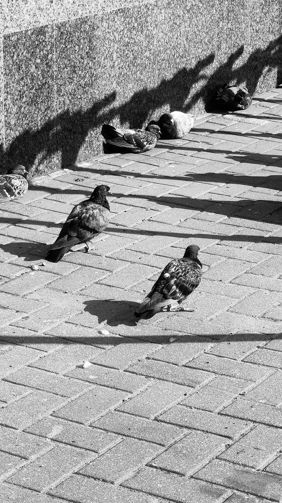 Фотография автора Невмержицкий Валерий