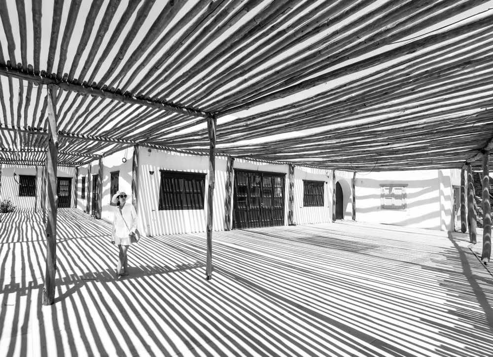 Фотография автора Mojtaba Chenari