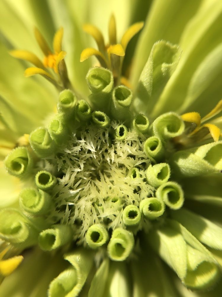 Photograph by Елена Федорова