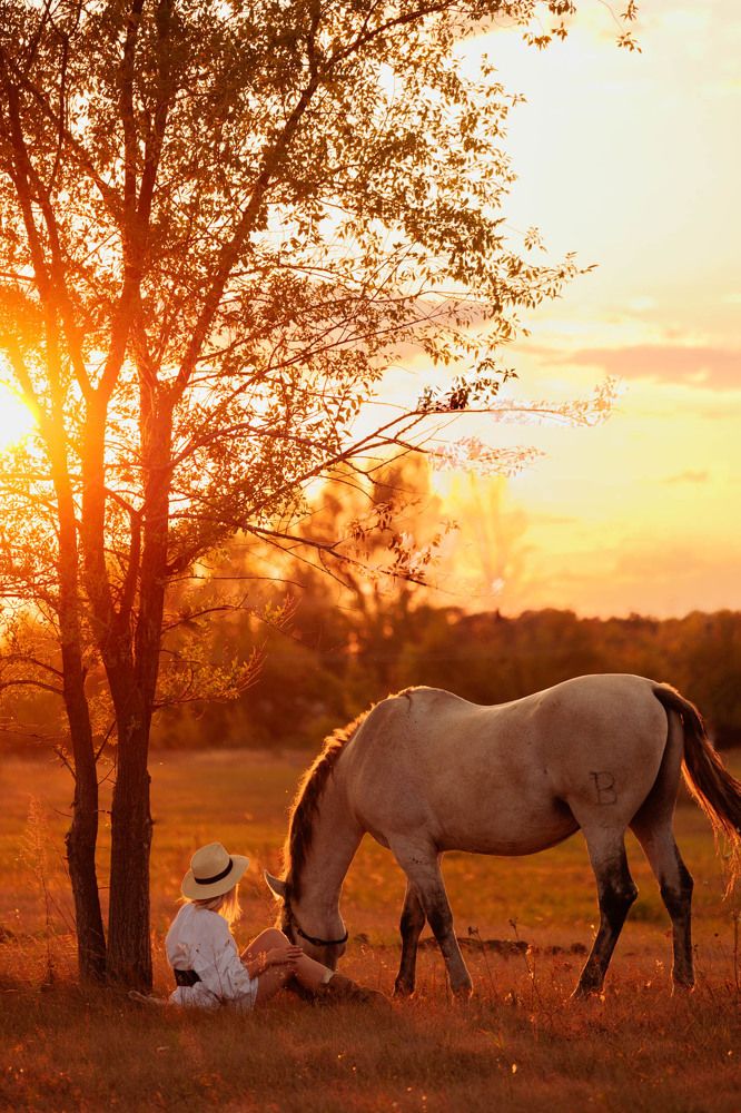 Фотография автора Елена Гордиевская