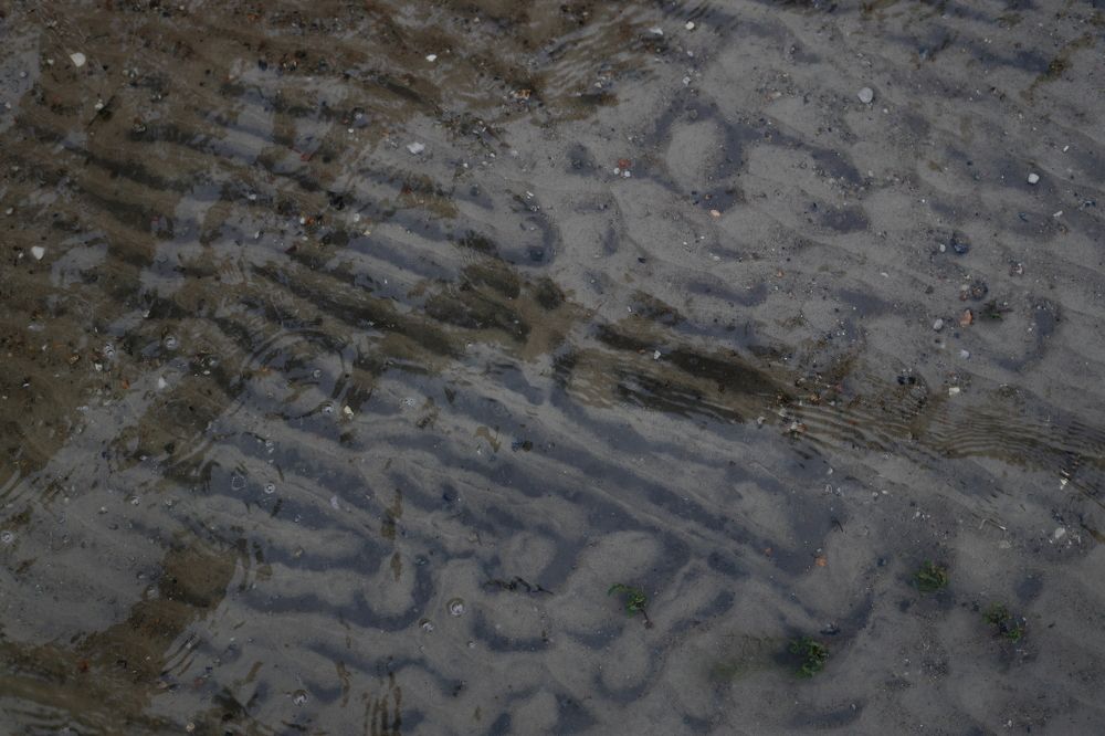 Photograph by Maksim Malkin