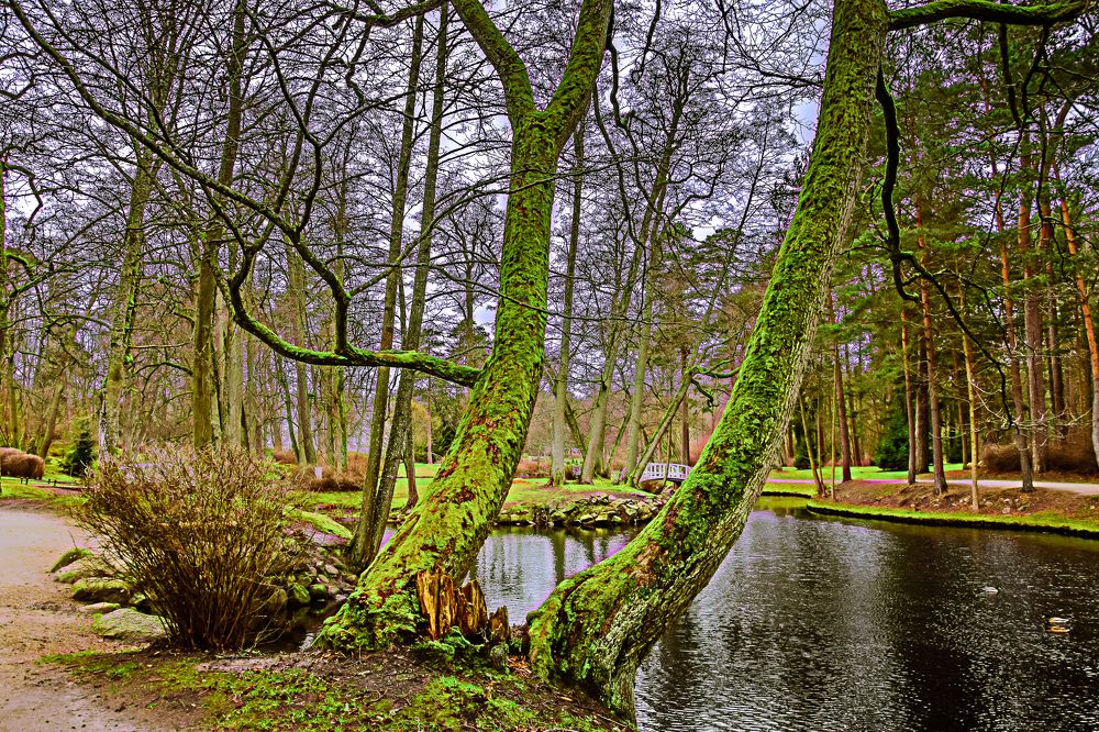 Photograph by Станислав