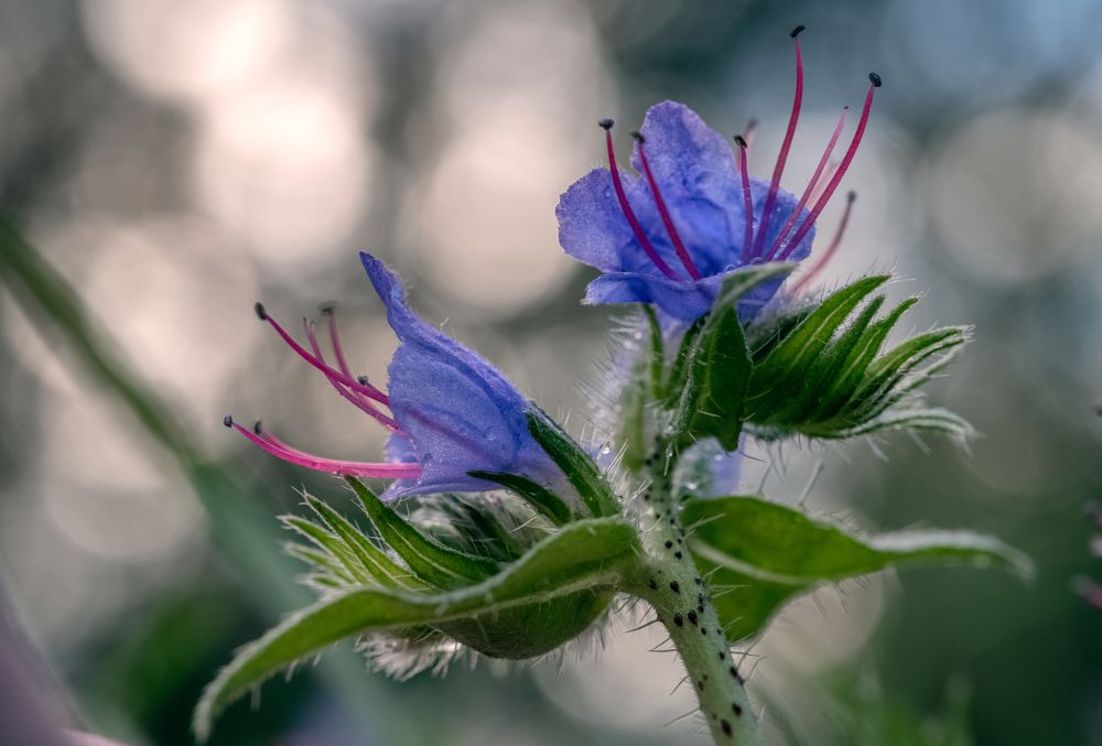 Photograph by Konstantin Shiryaev