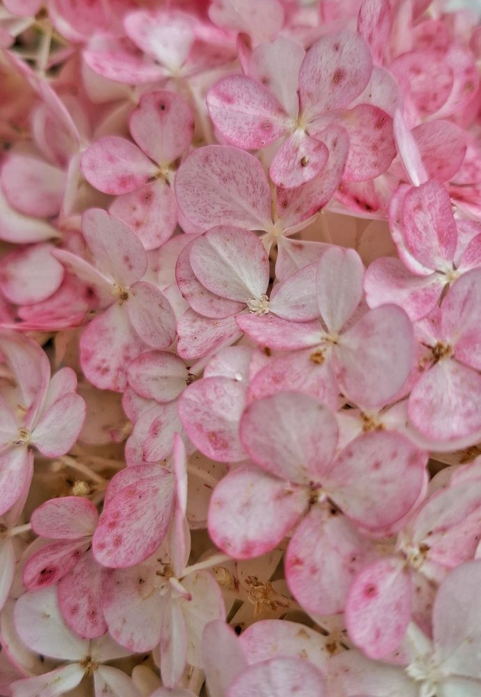 Photograph by Мария Андреева