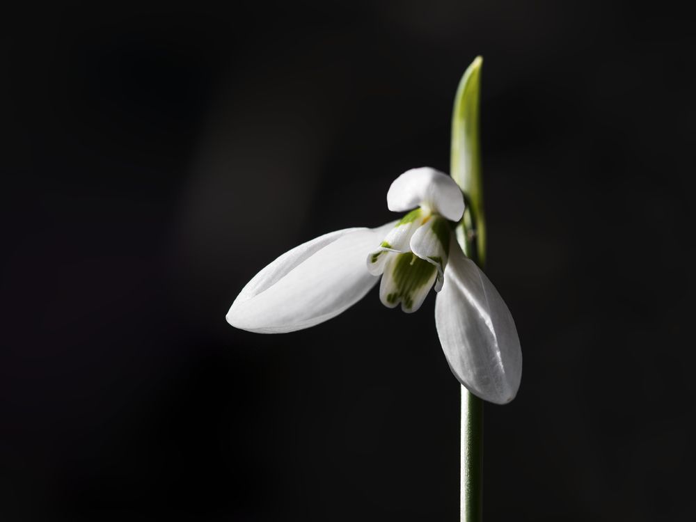 Фотография автора Uljana Kuchar