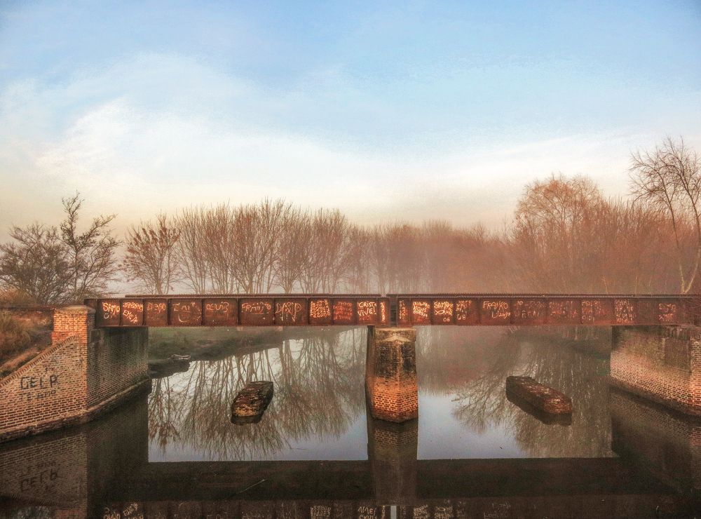 Photograph by Viviana García