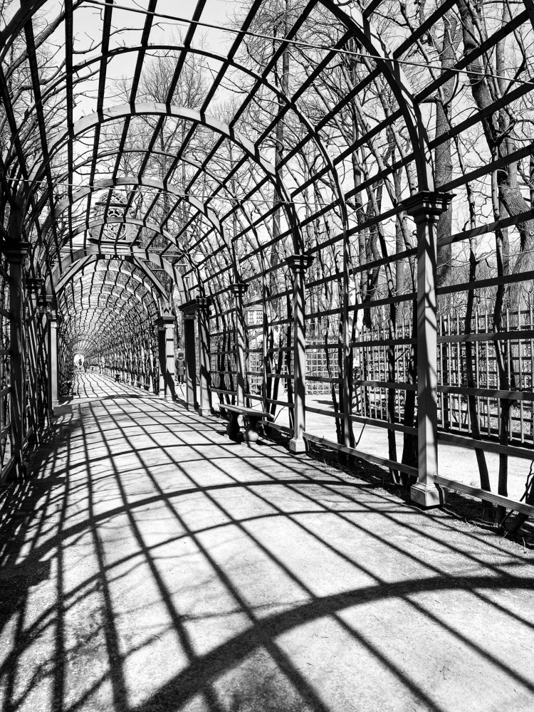 Photograph by Елена Шамраева