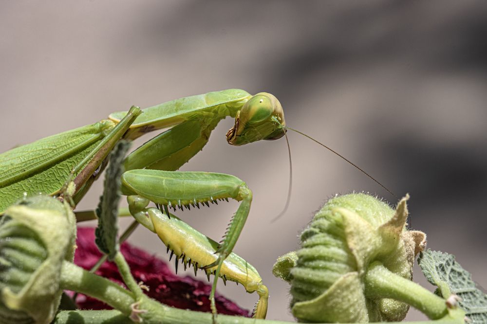 Photograph by Басыров Валерий