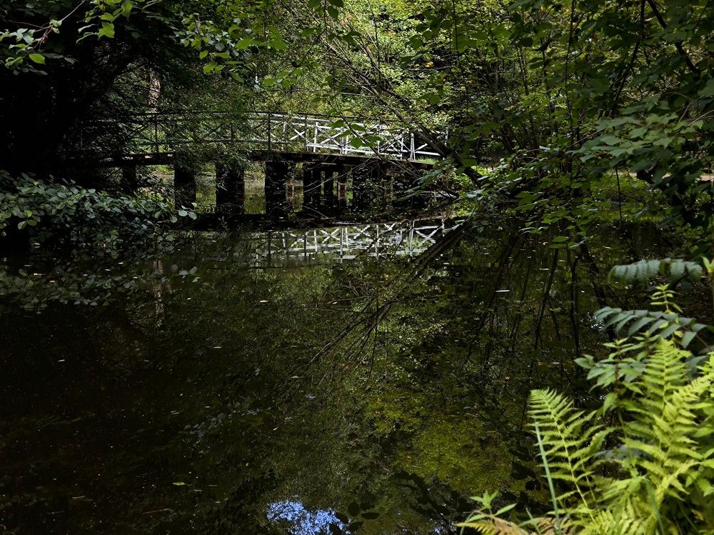 Photograph by Ирина Ященко