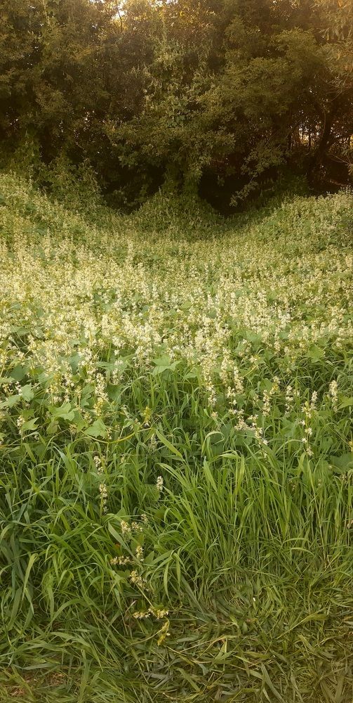 Photograph by Svetlana Nemontova