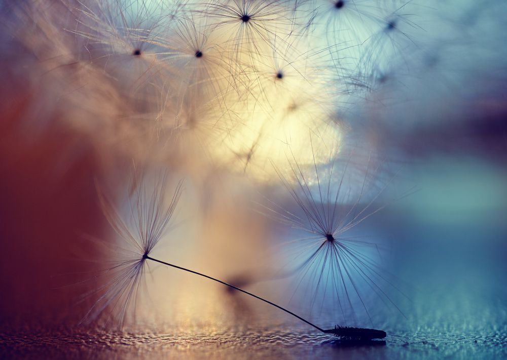 Photograph by Prometej