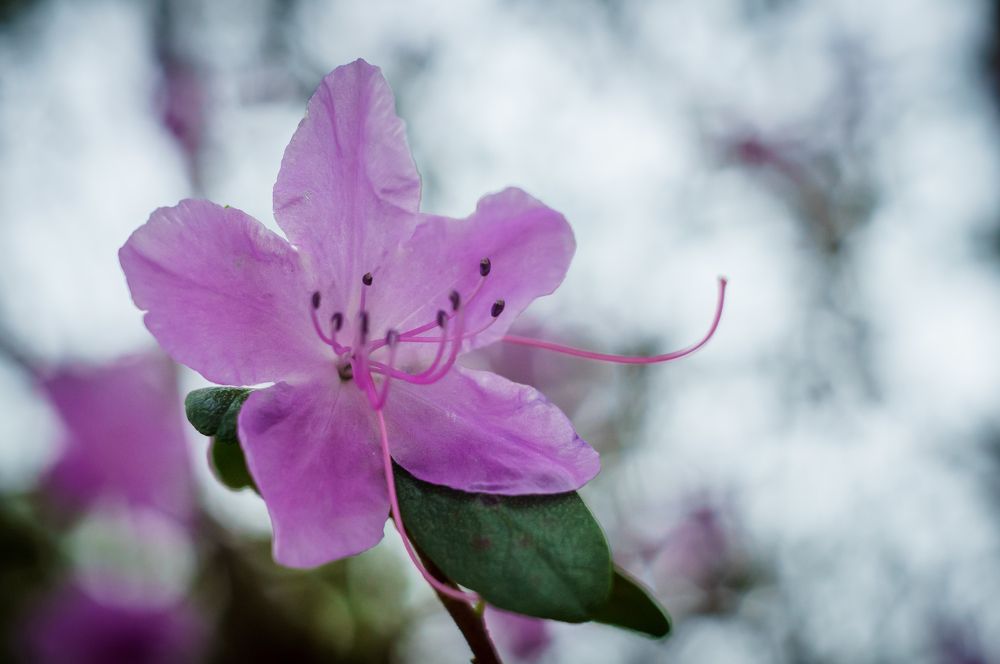 Photograph by Иванюшкин Никита