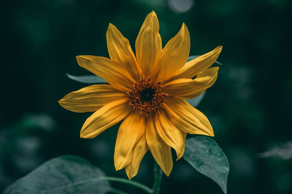 Photograph by Иванюшкин Никита