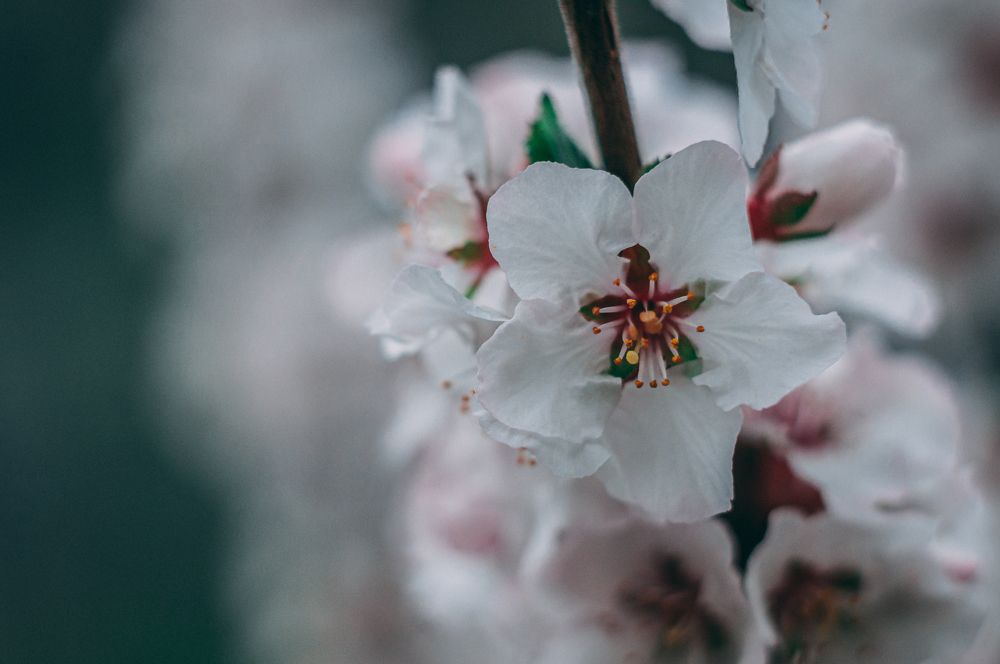 Photograph by Иванюшкин Никита