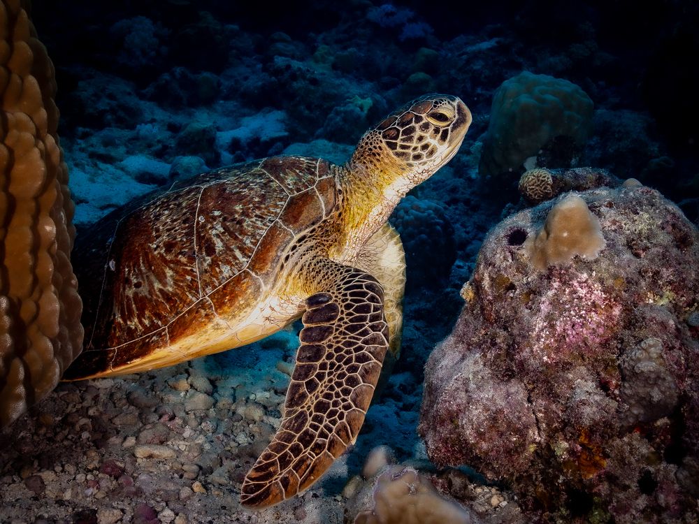 so wake me up when its all over