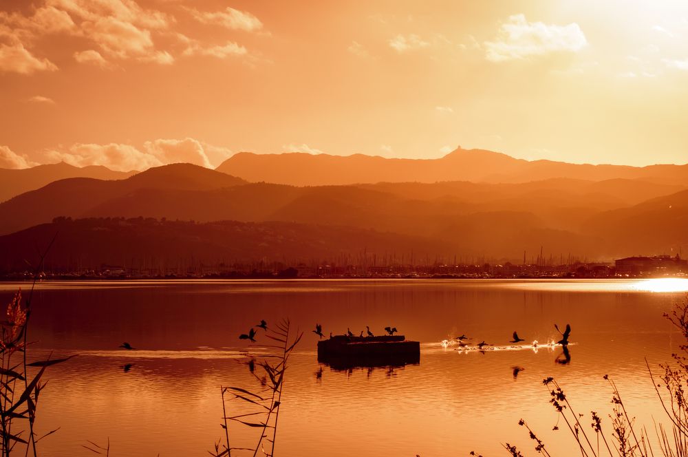 Photograph by CHRIS PAPAKIRITSIS