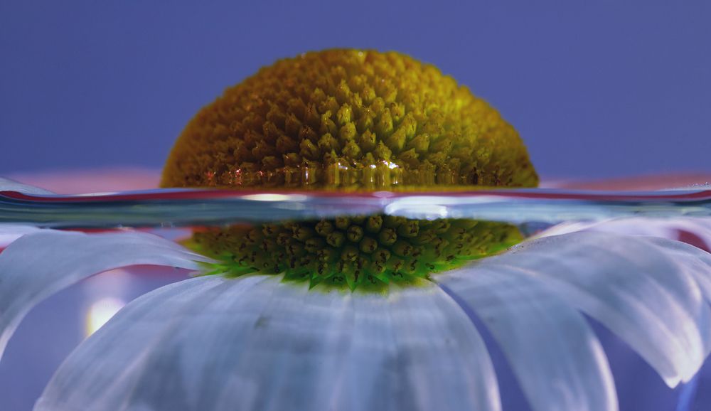 Photograph by Prometej