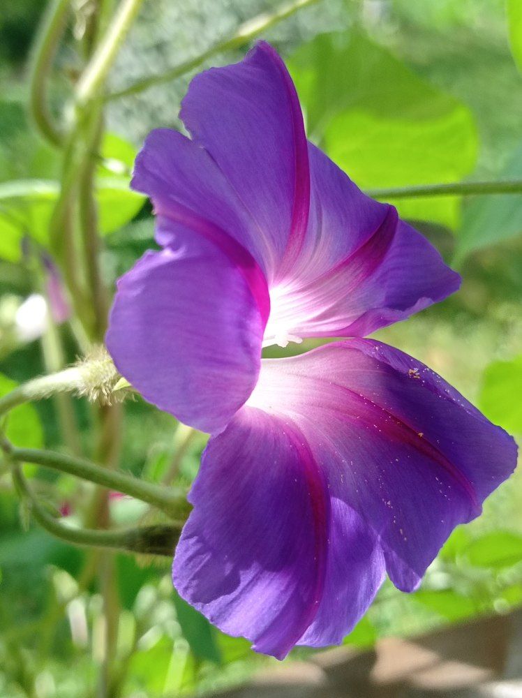 Photograph by Ирина Орлова