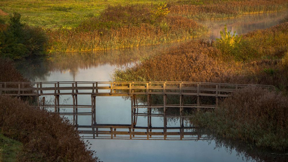 Фотография автора Александр Довганюк
