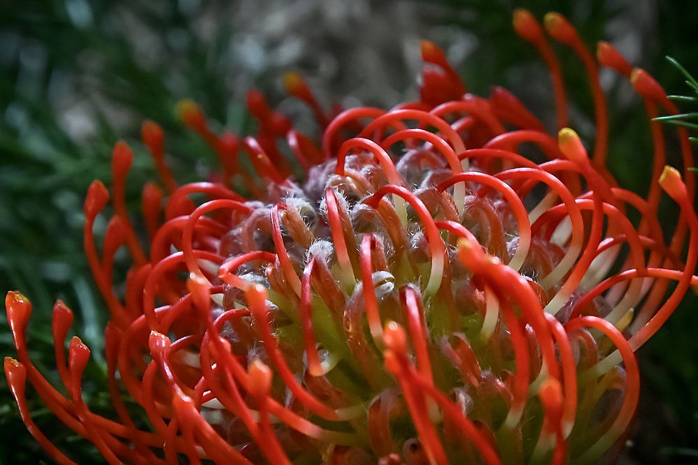 Photograph by Do Thi Thanh Binh