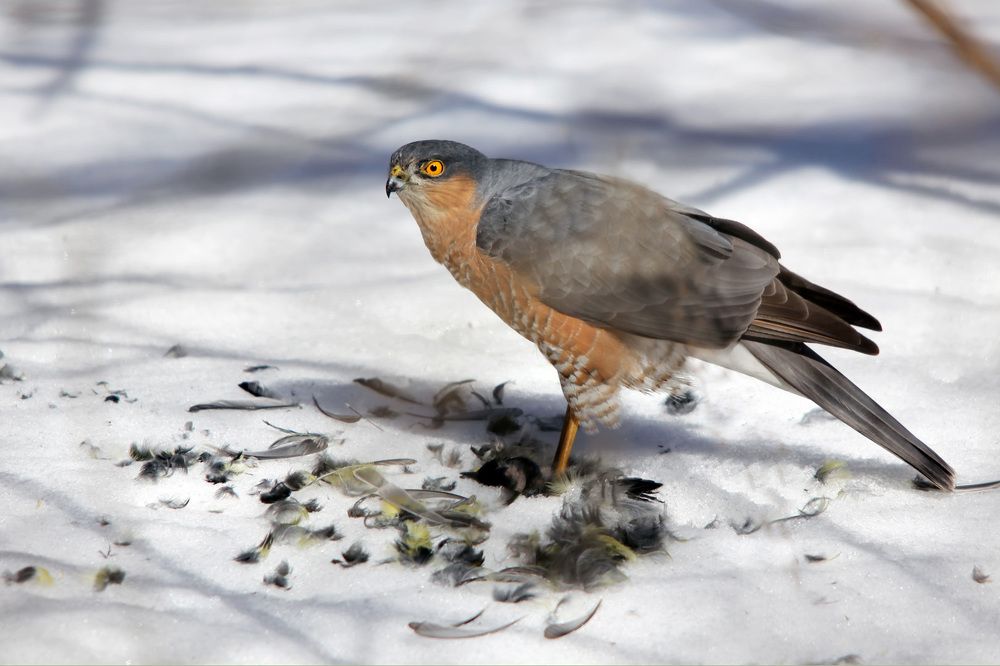 Photograph by Юрий Соколков