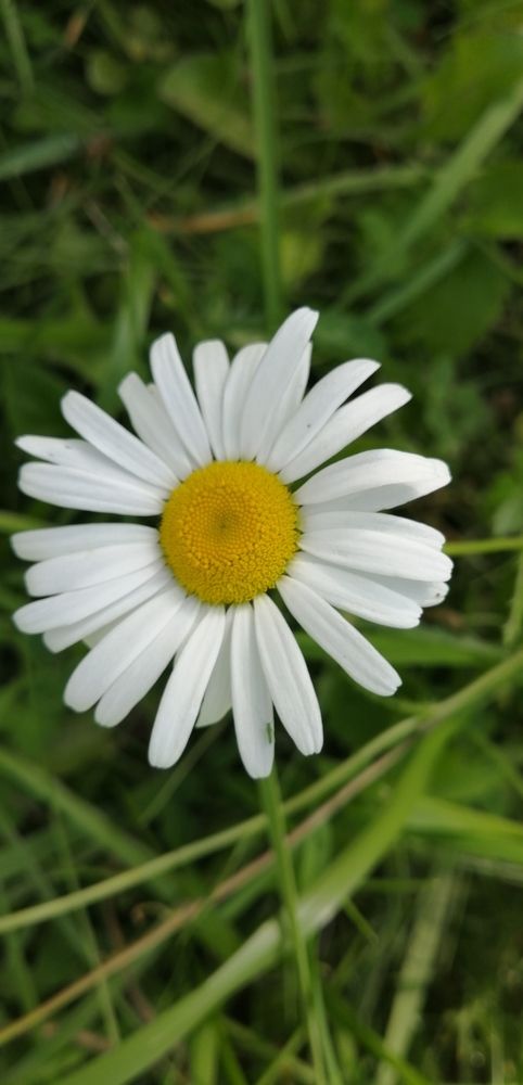Photograph by Дарья Лосева