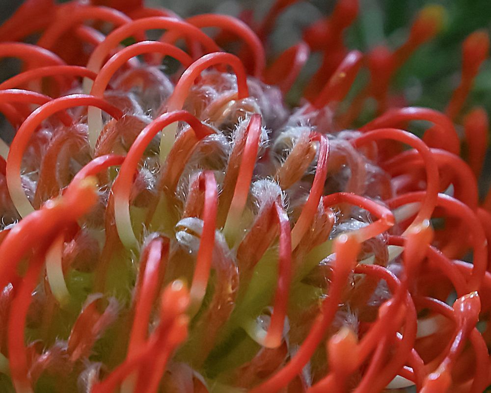 Photograph by Do Thi Thanh Binh