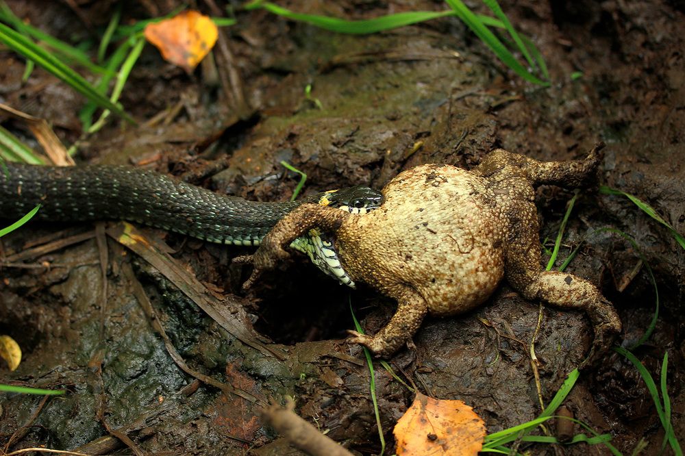 Photograph by Юрий Соколков