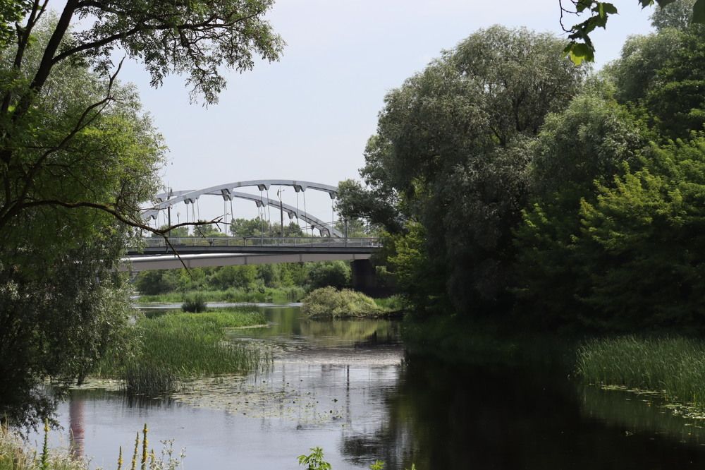 Фотография автора Алиса