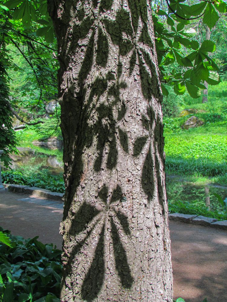 Фотография автора Александр Довганюк