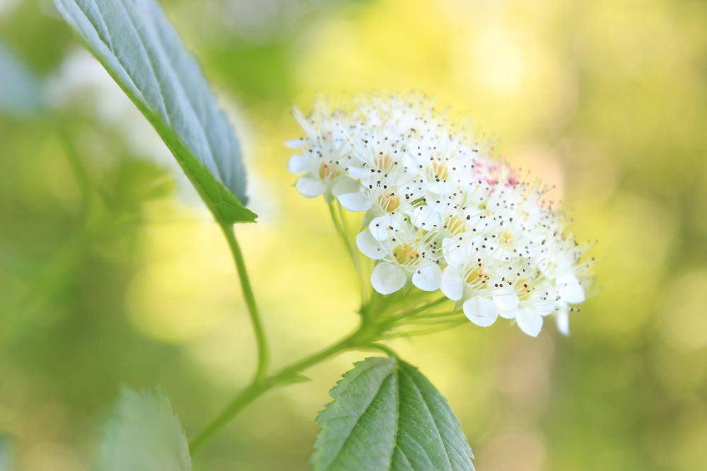 Photograph by Вячеслав Атаманов