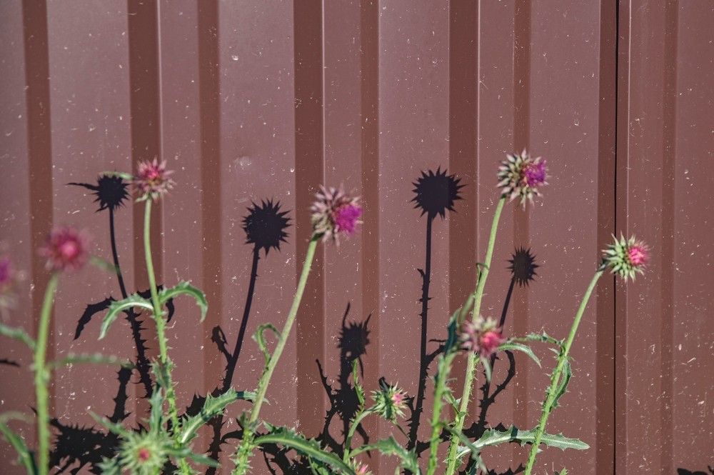 Photograph by Алексей Логинов