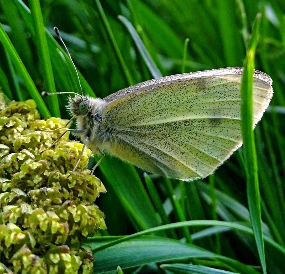 Photograph by Наталья Назаренко