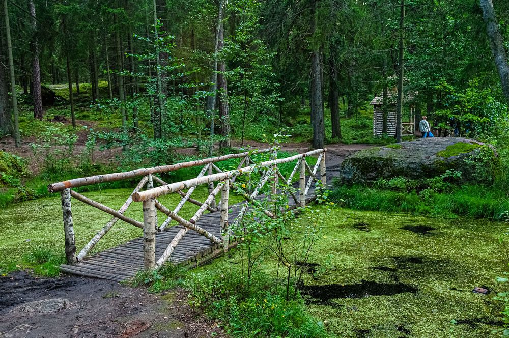 Photograph by Vladimir  Komarov