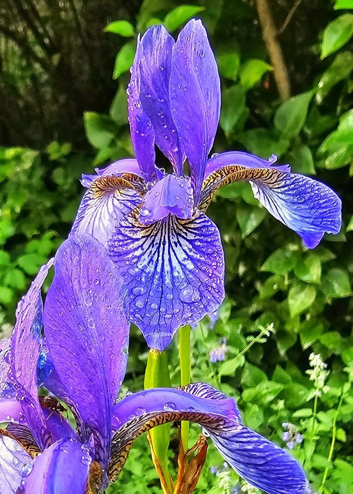 Photograph by Алексей Новиков