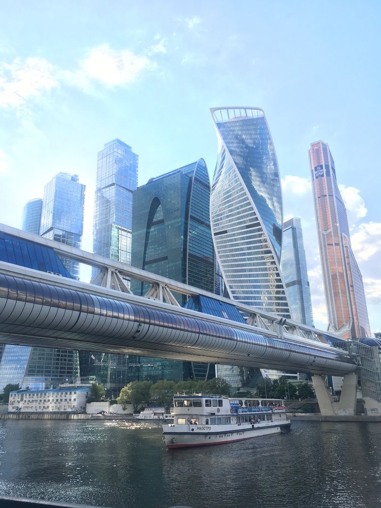 bridge on the future