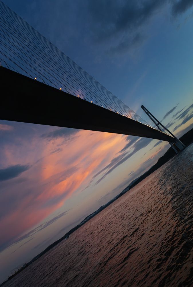 Фотография автора Анна Олещук