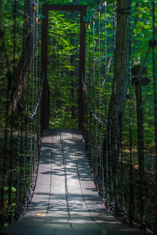 Фотография автора Анна Олещук