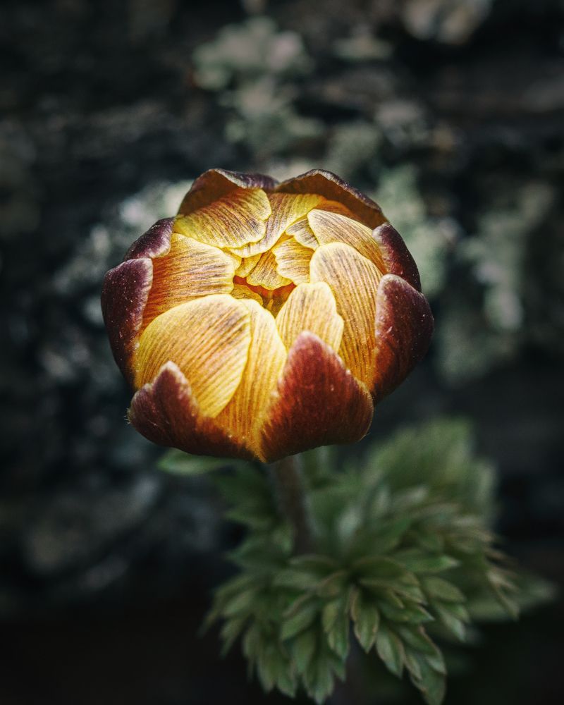 Фотография автора Анна Олещук