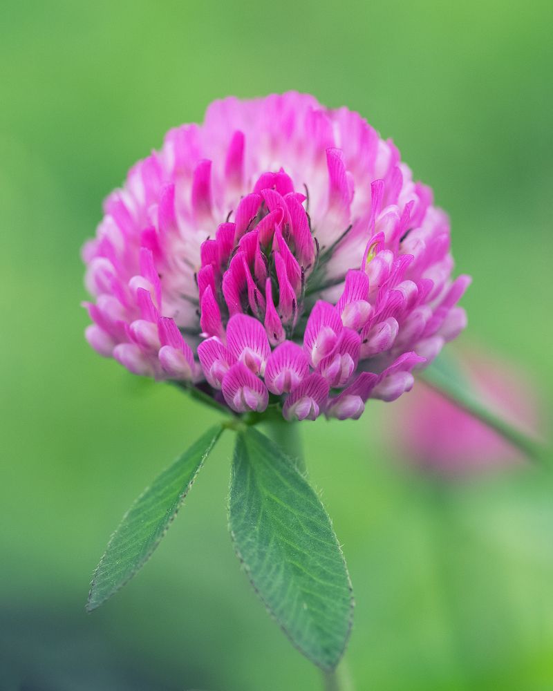 Фотография автора Анна Олещук