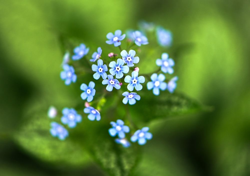 Photograph by Юлия Ковальчук