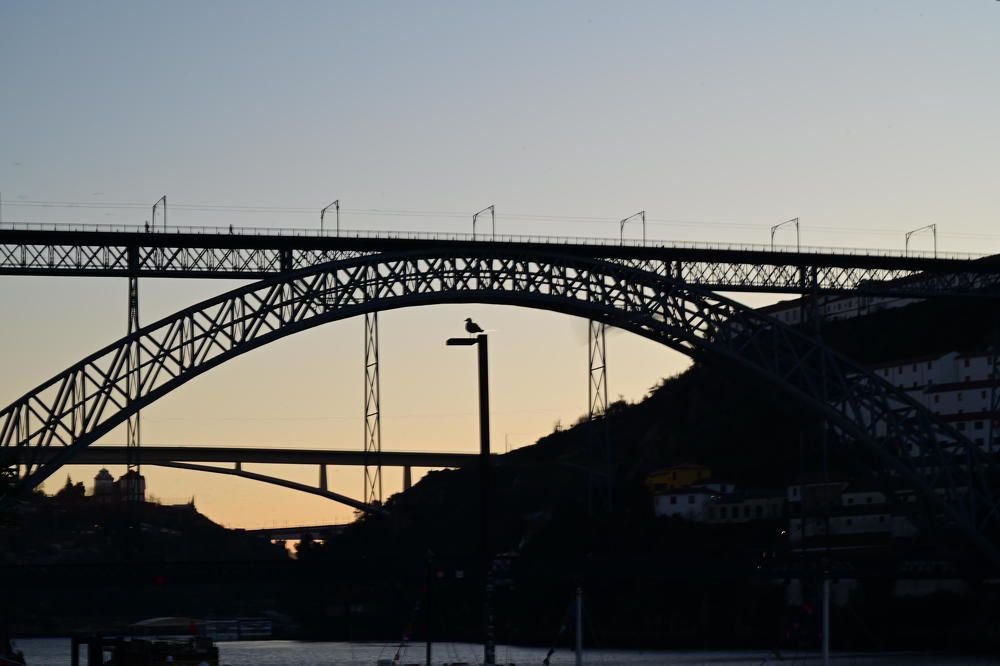 Photograph by Sanjoy Sengupta