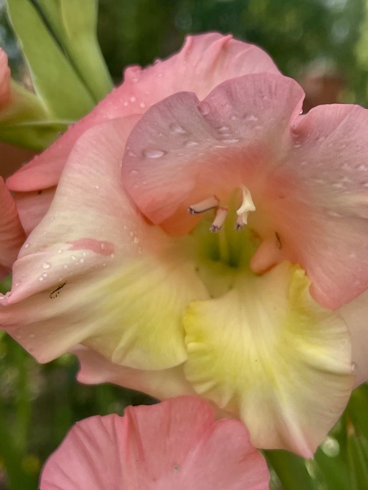 Фотография автора Вячеслав