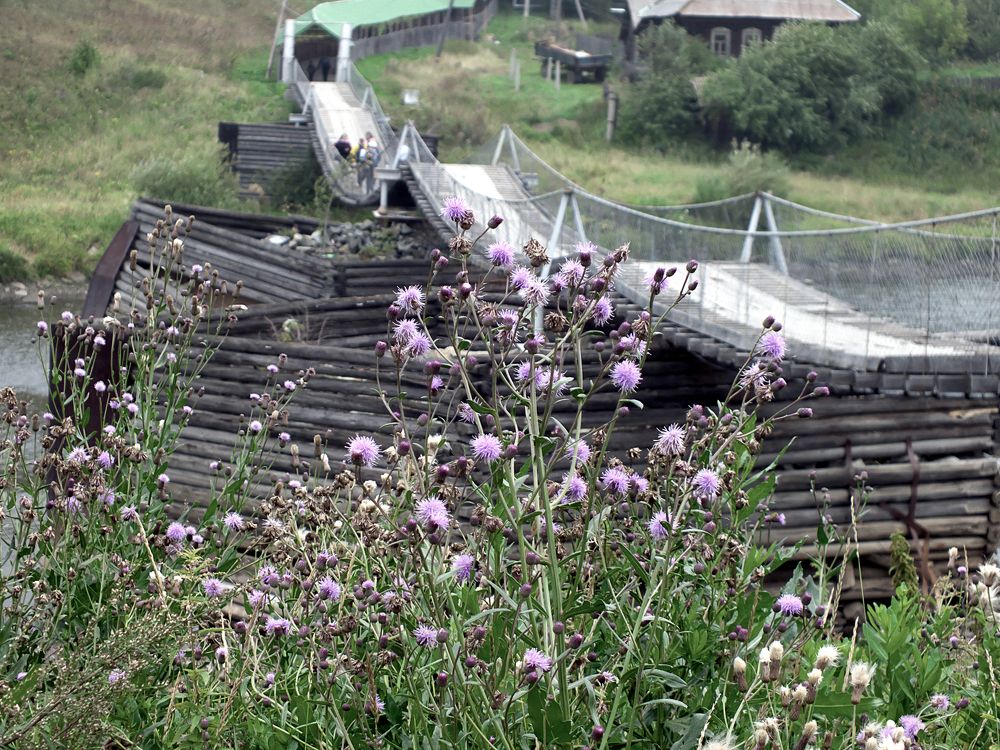 Photograph by Сергей Рябов