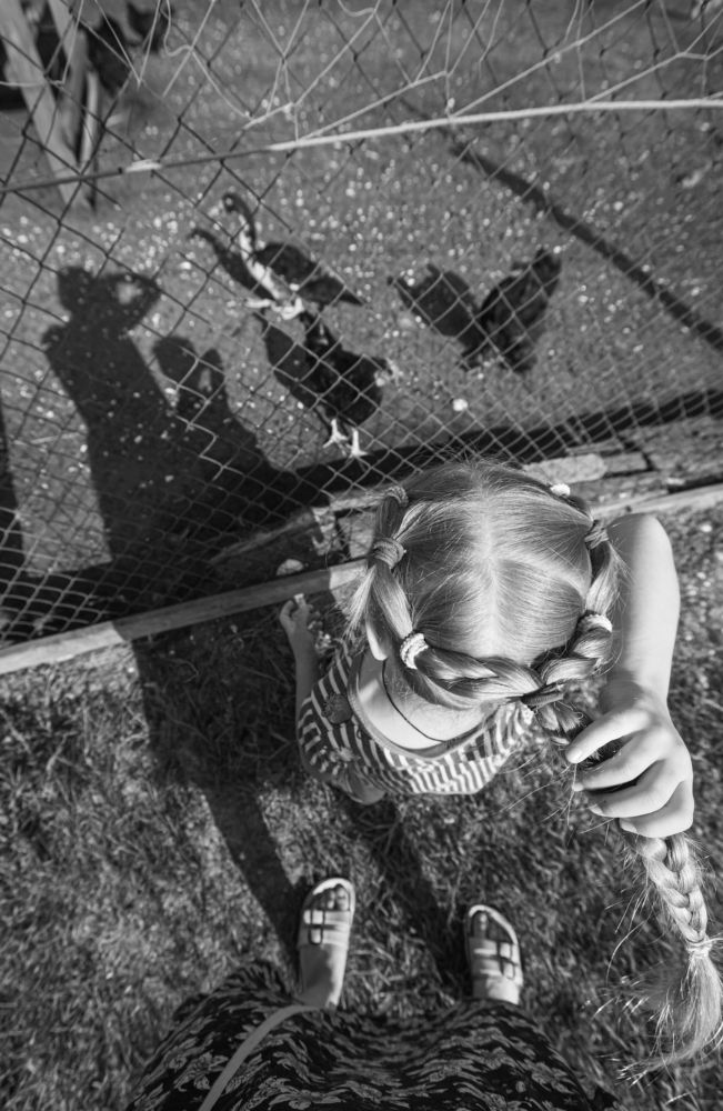 Photograph by Тамара Морозова