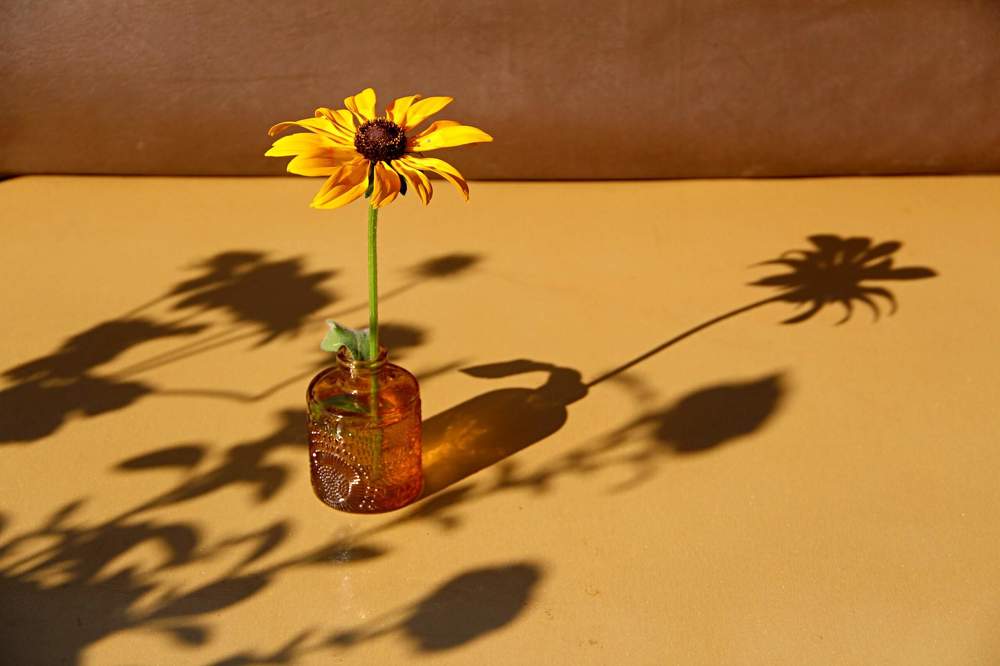 Photograph by Людмила Таерова