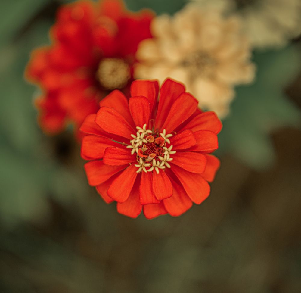 Photograph by Александр Огурцов