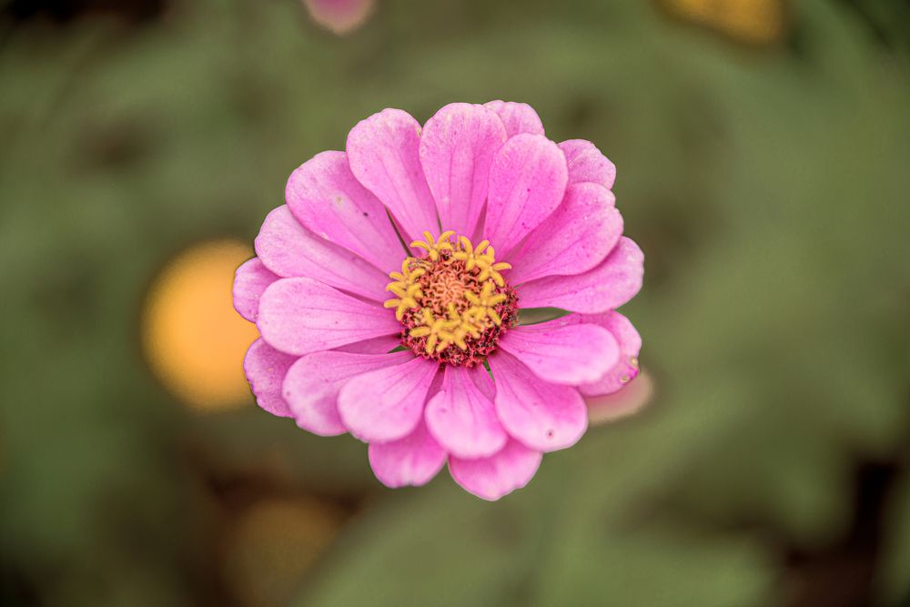 Photograph by Александр Огурцов