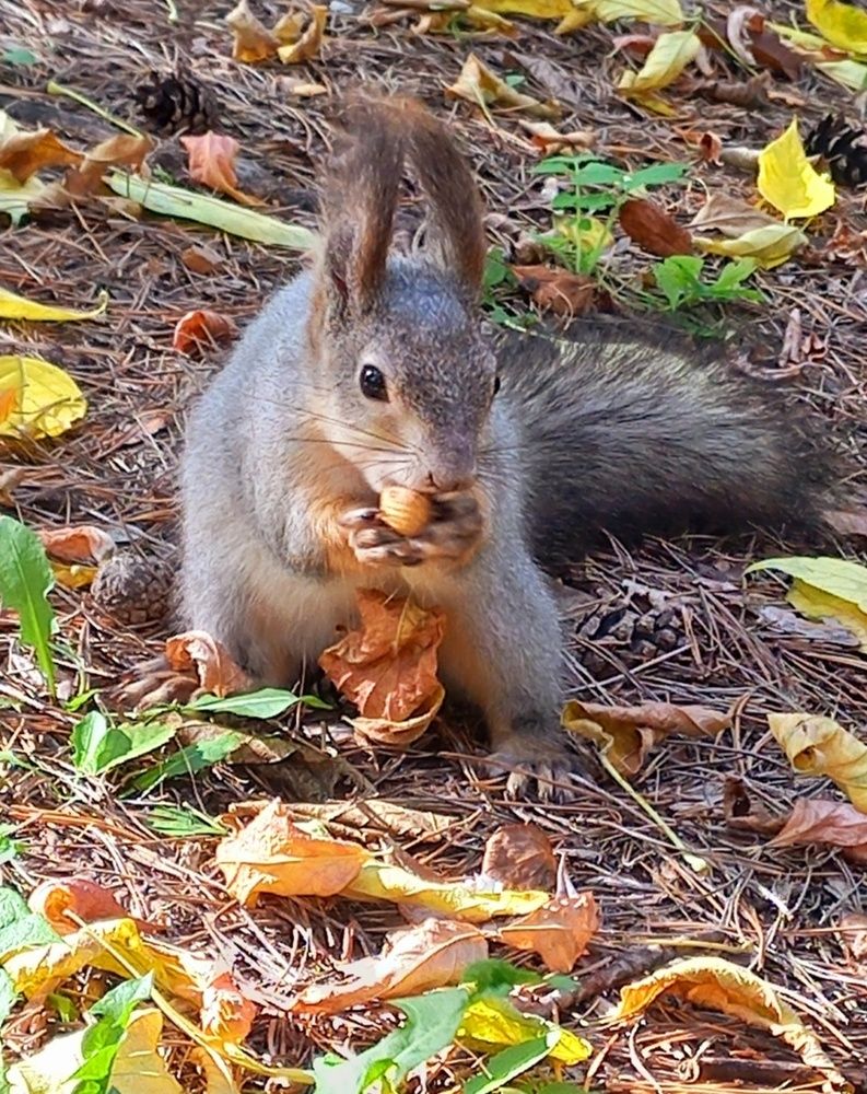 Фотография автора Наталья Крутицких